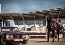 De la cal, la cai putere - eveniment auto pe Hipodromul Ploiești